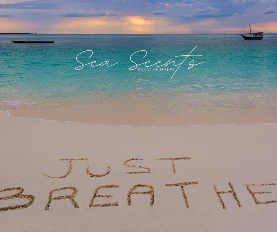 Sea Scents Diffuser Pineapple