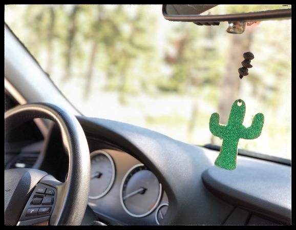 Cactus Reusable Essential Oil Diffuser