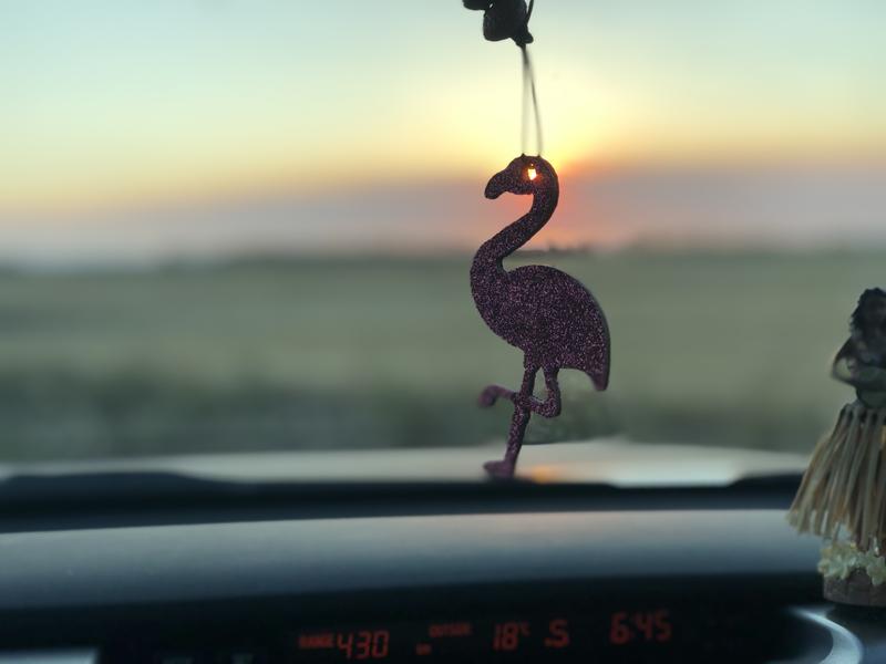 Flamingo Reusable Essential Oil Diffusers