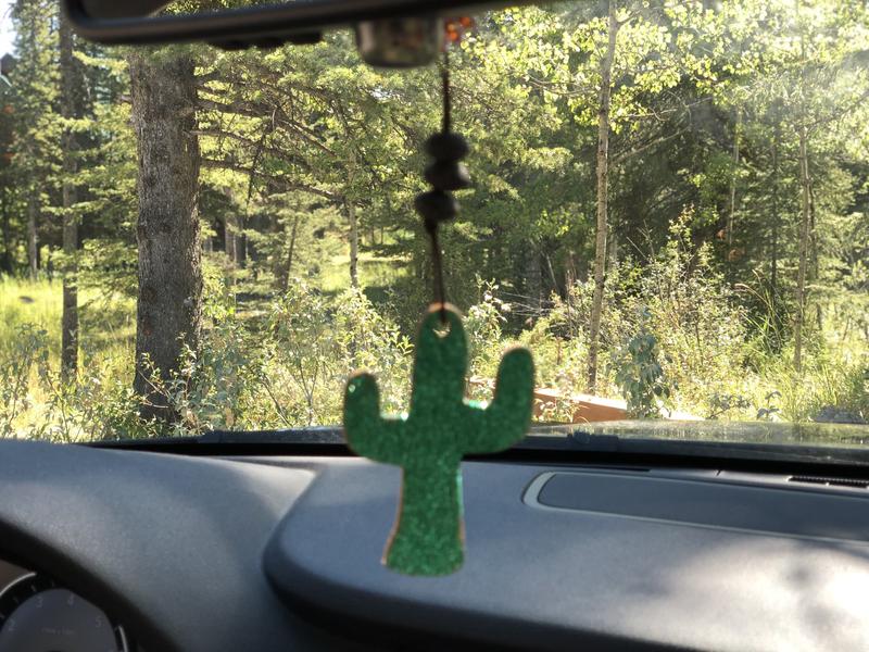 Cactus Reusable Essential Oil Diffuser